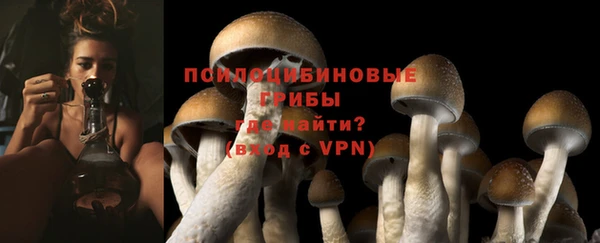 Альфа ПВП Зеленодольск