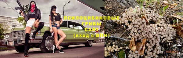 PSILOCYBIN Зеленокумск
