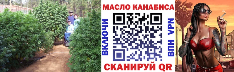 Купить где  Кемь  ТГК Wax 
