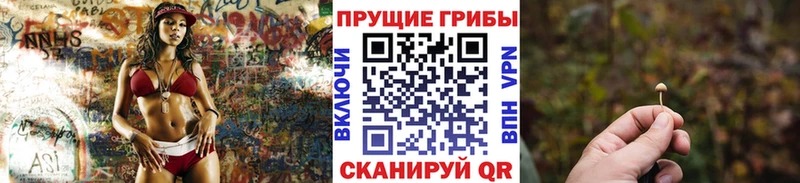 Псилоцибиновые грибы прущие грибы  Купить закладки  Кемь 